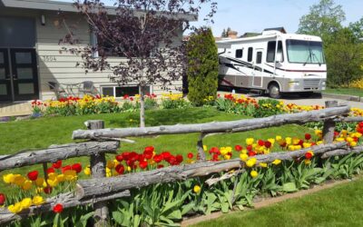 Regulations and Tips for RV Parking on Residential Property